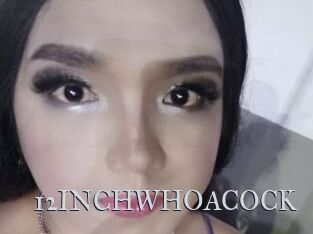 12INCHWHOACOCK