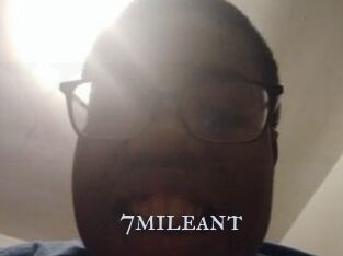 7mileant