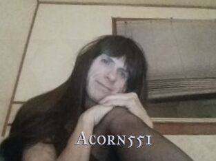 Acorn551