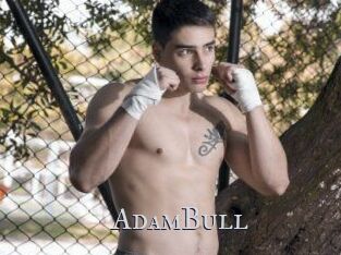 AdamBull