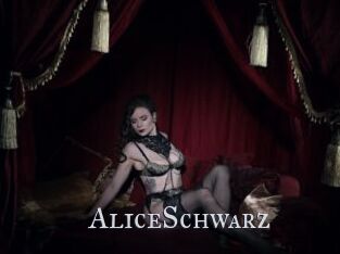 AliceSchwarz