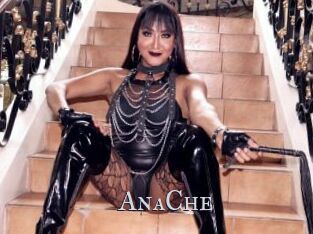 AnaChe