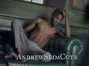 AndrewSlimCute