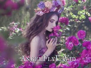 AngelFlyLaVid