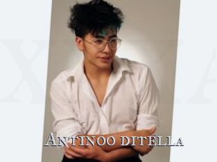 Antinoo_ditella