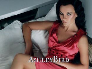 AshleyBird Xxx Amateur