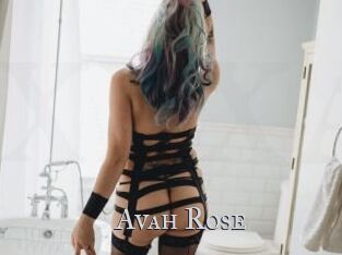 Avah_Rose