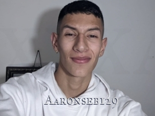 Aaronseb129
