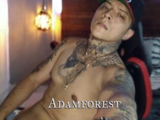 Adamforest