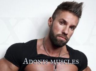 Adonis_muscles