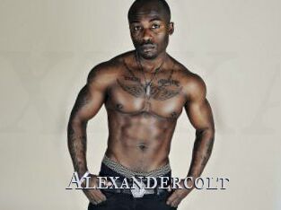 Alexandercolt
