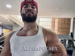 alphapulsex Xxx Amateur
