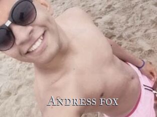 Andress_fox