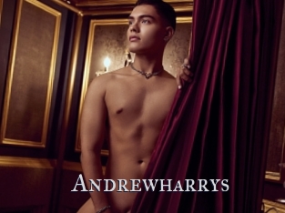 andrewharrys Xxx Amateur