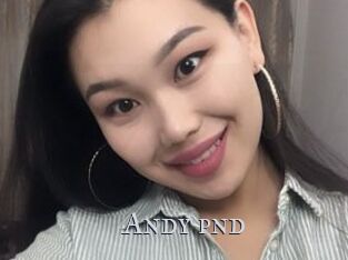 Andy_pnd