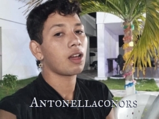 antonellaconors Xxx Amateur