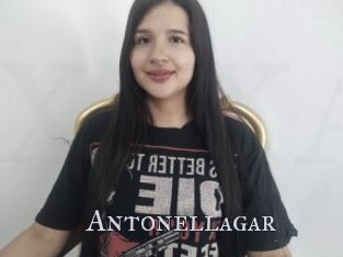 Antonellagar