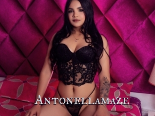 Antonellamaze