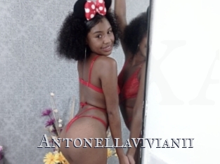 Antonellavivianii