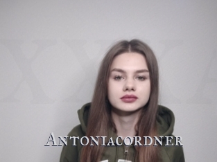 Antoniacordner