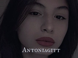 Antoniagitt
