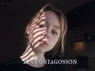 Antoniagosson