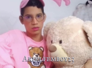 Arielfemboy23