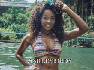 Ashleybirdy