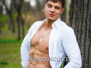 Ashtoncolt