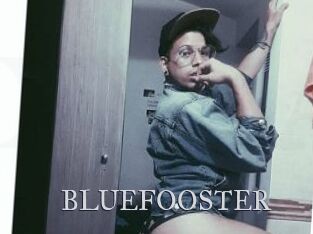 BLUEFOOSTER Xxx Amateur
