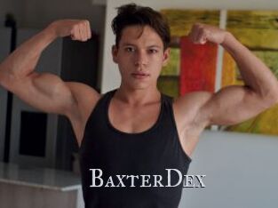 BaxterDex