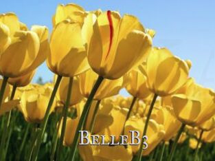BelleB3