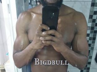 Bigdbull