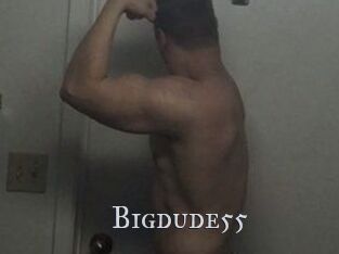 Bigdude55