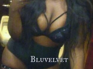 Bluvelvet