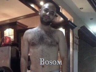 Bosom