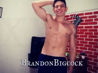 BrandonBigcock