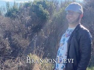 BrandonLevi