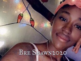 Bre_Shawn2020