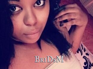 BriDsM