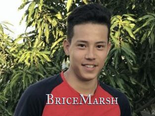 BriceMarsh