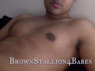 BrownStallion4Babes