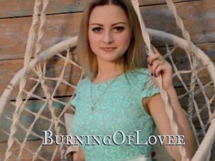 BurningOfLovee