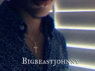 Bigbeastjohnny