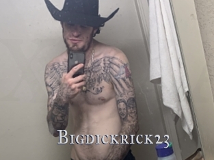 bigdickrick23 Xxx Amateur