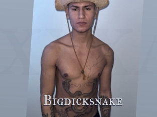bigdicksnake Xxx Amateur