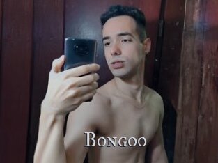 Bongoo