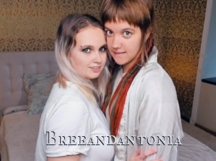 Breeandantonia