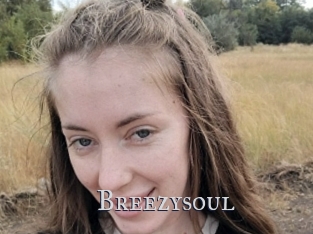 Breezysoul