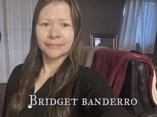 Bridget_banderro